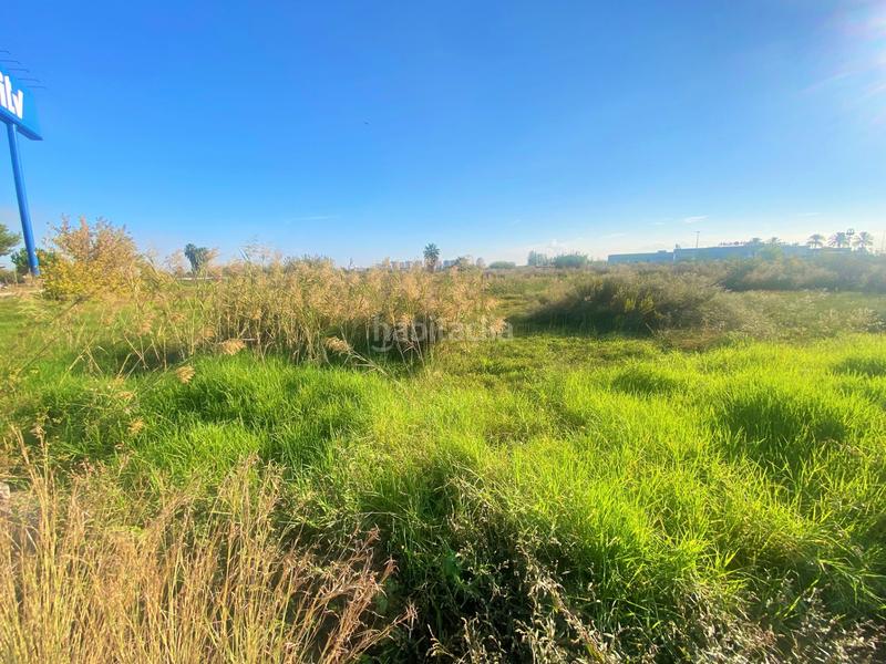 Foto 41854f1a-9ca0-4566-a275-062a755635bc. Finca rústica a partida drago 2 a Massalfassar