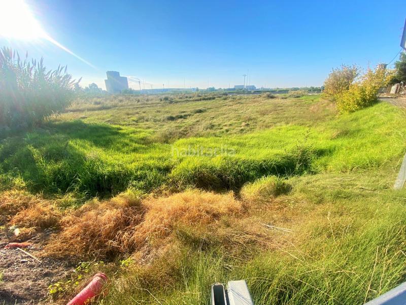 Foto 753def69-df3f-413a-8fbc-be31244bd0e5. Finca rústica a partida drago 2 a Massalfassar