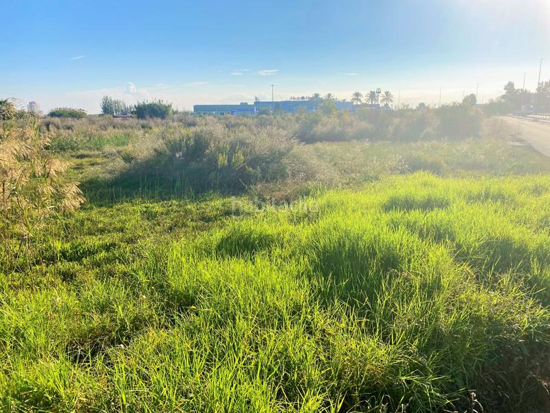 Foto 790eda63-3482-44a5-ac28-a0a170650177. Finca rústica a partida drago 2 a Massalfassar