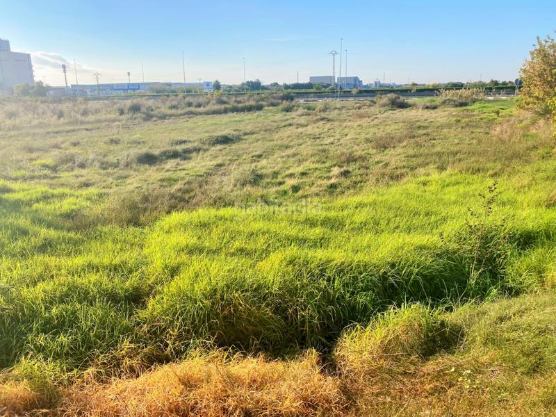 Foto 9bcd37b6-4c2e-47f3-bdee-df24a2ce2a04. Finca rústica a partida drago 2 a Massalfassar