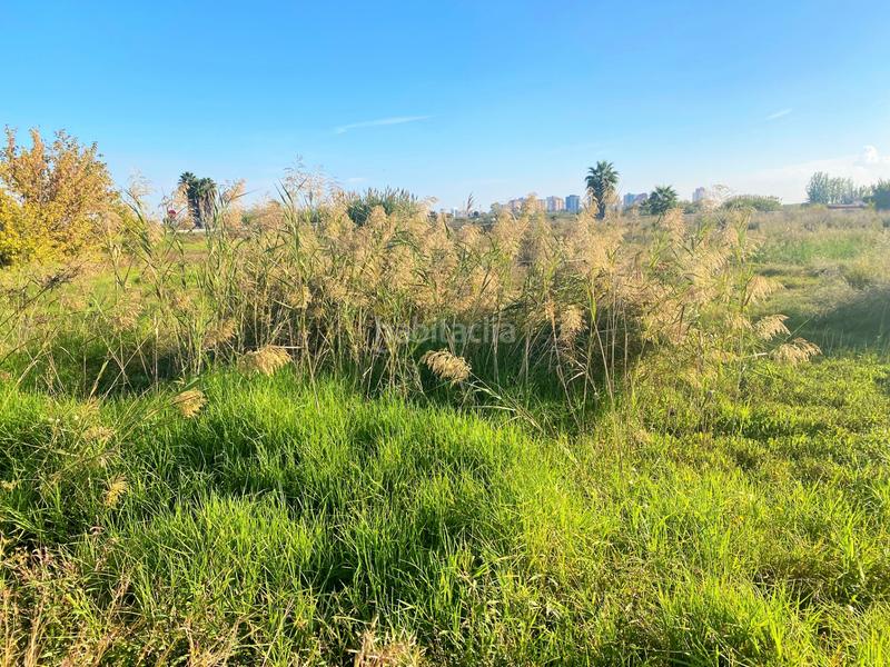 Foto f4d14e1e-dbf2-422a-9459-ba6ea616e827. Finca rústica a partida drago 2 a Massalfassar