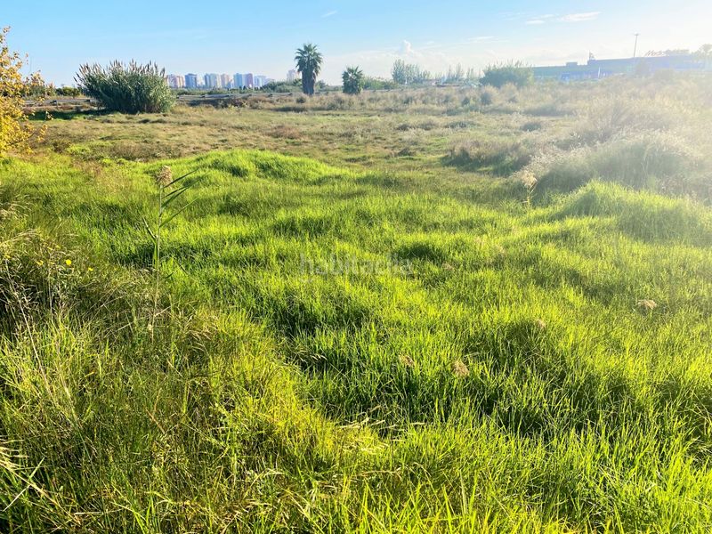Foto aab476d1-ea00-4118-98b6-597d09612764. Finca rústica a carrer estació 3 a Massalfassar