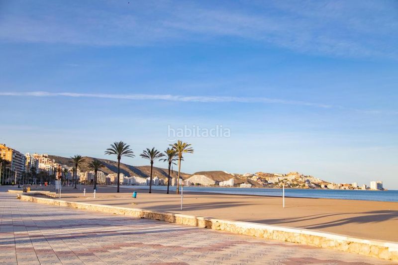 Foto fb218d61-085f-44f8-be20-2f5282f7cb6c. Miete appartement mit pool in Sant Antoni Cullera
