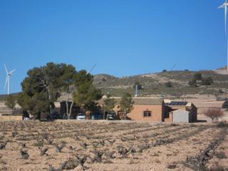 Masia en Diseminado los agueros 13. Finca d eolivos y viedos en produccion con almacera