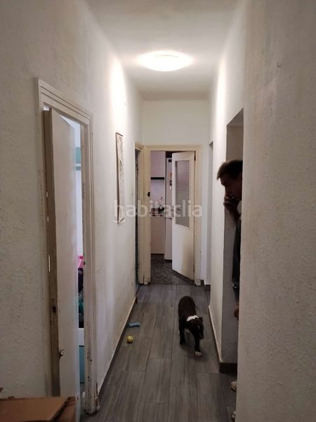 Foto 3876ba09-a823-49b9-acbf-3498c363c2c8. Pis a Alfafar