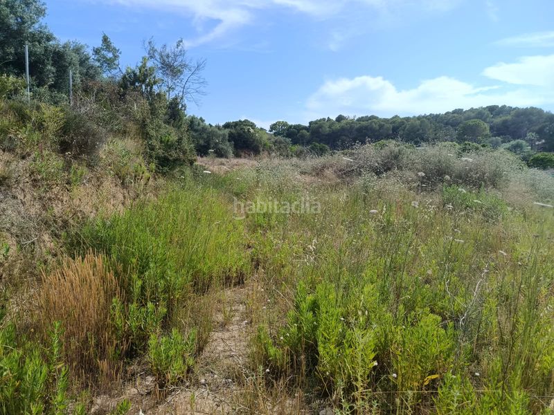 Foto 0ff71599-da5f-49a8-9fea-2d1590488700. Chalet in partida casablanca 88ll in Monte Real Torrent