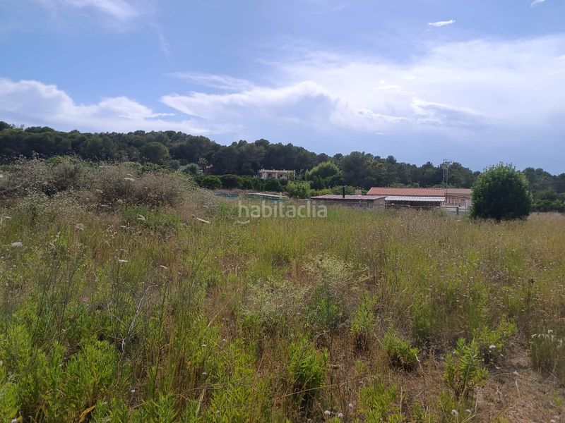Foto 67aae26c-24a1-472a-87b0-dd55ff066896. Chalet in partida casablanca 88ll in Monte Real Torrent