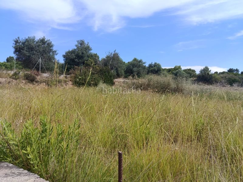 Foto f3c5f727-0c4c-40ed-b38a-156aa93600ee. Chalet in partida casablanca 88ll in Monte Real Torrent
