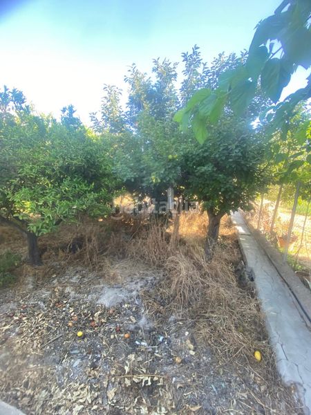 Foto 03601a48-1564-4125-953b-309ca5b14934. Masia a Rincón de Seca Murcia