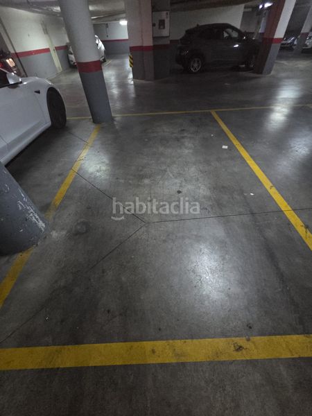 Foto 048996f4-a4d5-4314-a7fd-3e15573e121c. Pis a Alguazas