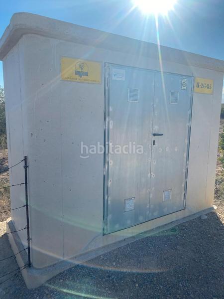 Foto 3d2fb21a-ac6e-4511-b7fb-5849125ea9df. Fondo rustico in carril la egesa 1 in Librilla