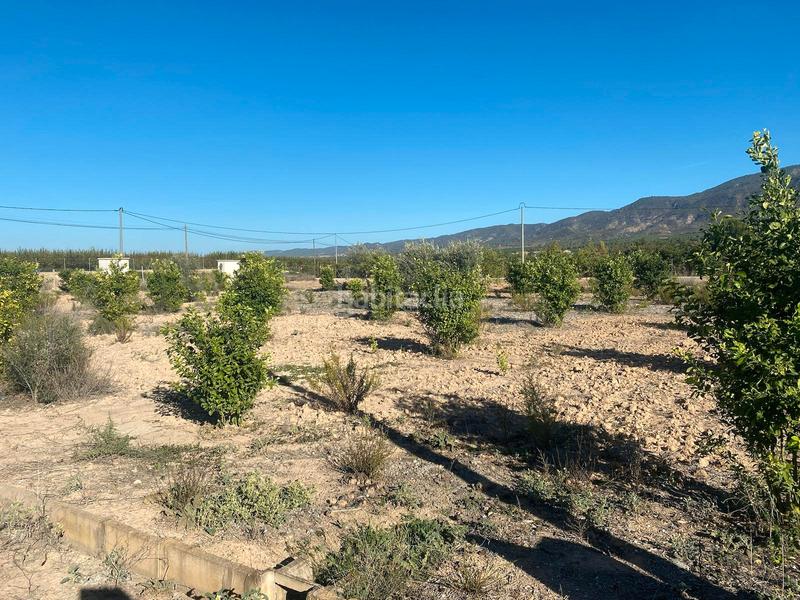 Foto 7a630181-abbb-4694-9318-28f7d84a050a. Fondo rustico in carril la egesa 1 in Librilla