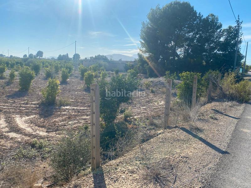 Foto e4d9431b-65f1-4fcf-aa88-ae71e7684810. Fondo rustico in carril la egesa 1 in Librilla