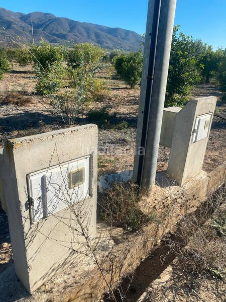 Foto ee083699-4db6-4e82-9cb1-a0ee9bc0c831. Fondo rustico in carril la egesa 1 in Librilla