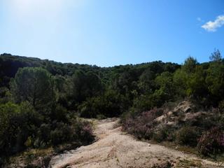 Finca rústica a Vilanova del Vallès. Finca rustica