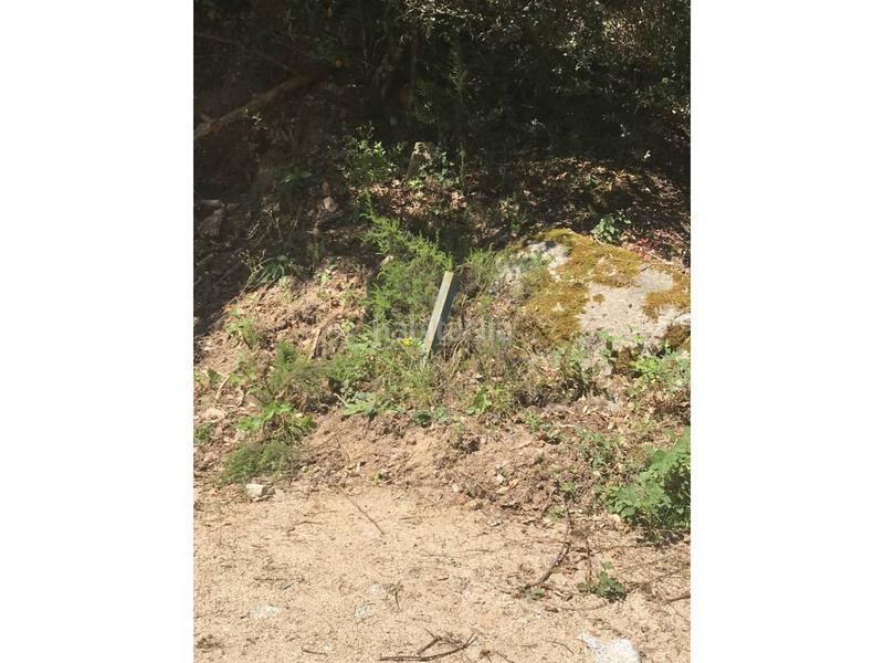 Foto 2e519737-41fb-4776-a144-4bedc12a09cb. Finca rústica finca rustica en Vilanova del Vallès