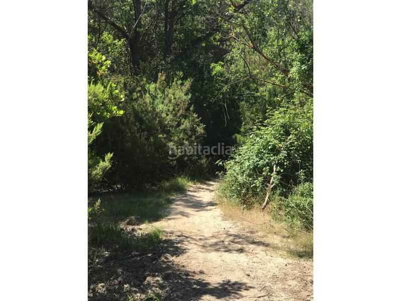 Foto 35f09bb6-c79c-4ca5-b746-b0c252016d2d. Finca rústica finca rustica en Vilanova del Vallès