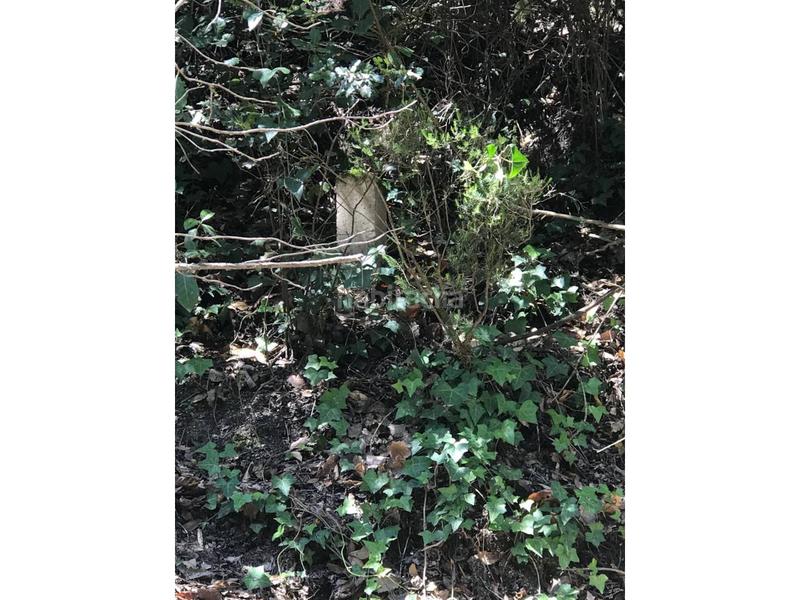 Foto 52fba6f6-b97b-41d4-b372-2afce56d76ed. Finca rústica finca rustica en Vilanova del Vallès