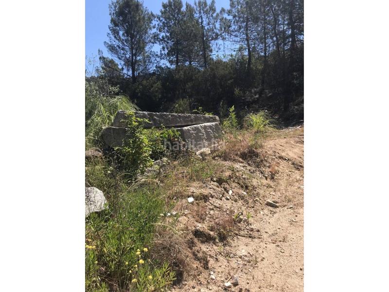 Foto d60a5431-381a-4976-b915-5c832bd00fcd. Finca rústica finca rustica en Vilanova del Vallès