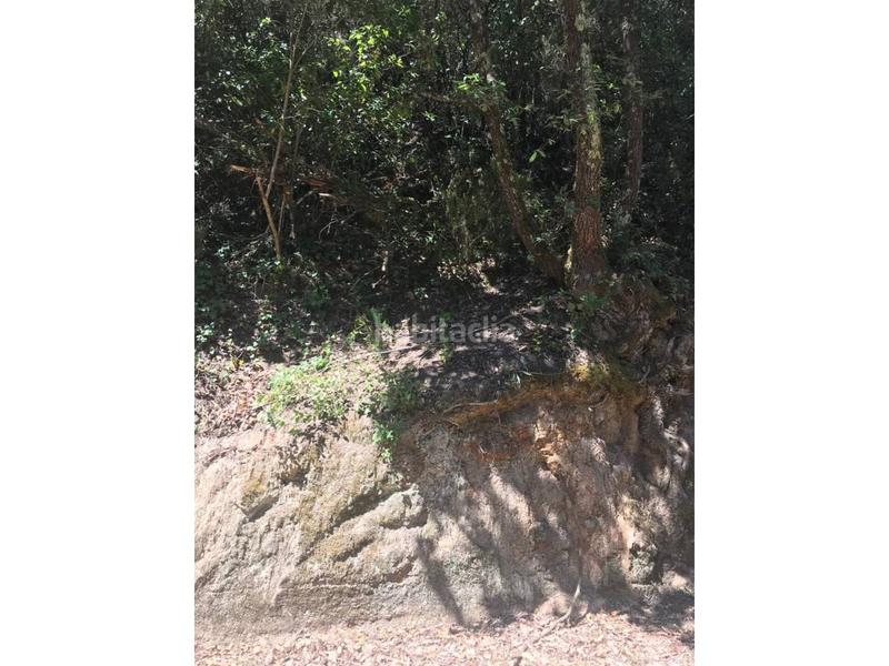 Foto ef6b7fe2-7485-4fd8-aa00-6f6b490db219. Finca rústica finca rustica en Vilanova del Vallès