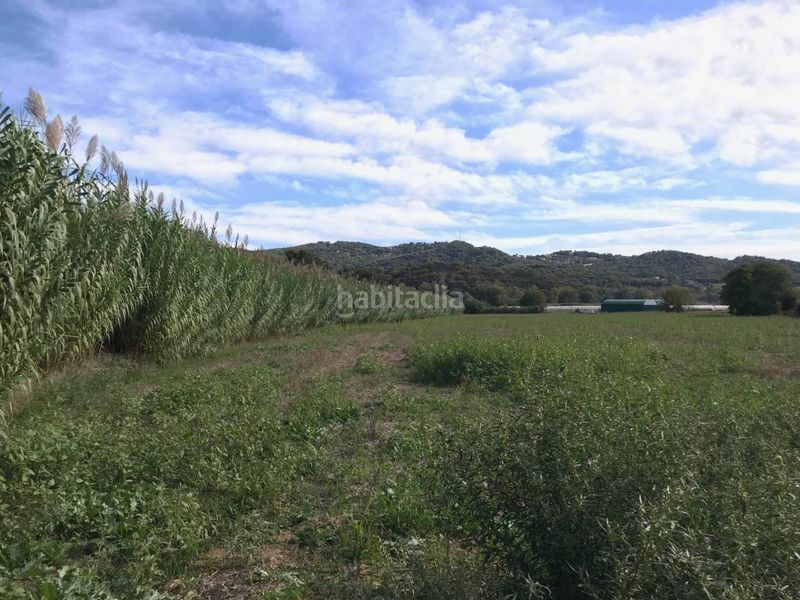 Foto 26c74e07-1c3a-43e1-9c60-43b49b9bdb93. Finca rústica terreno rústico no edificable sólo para uso exclusivamente agrícola en Vilanova del Vallès