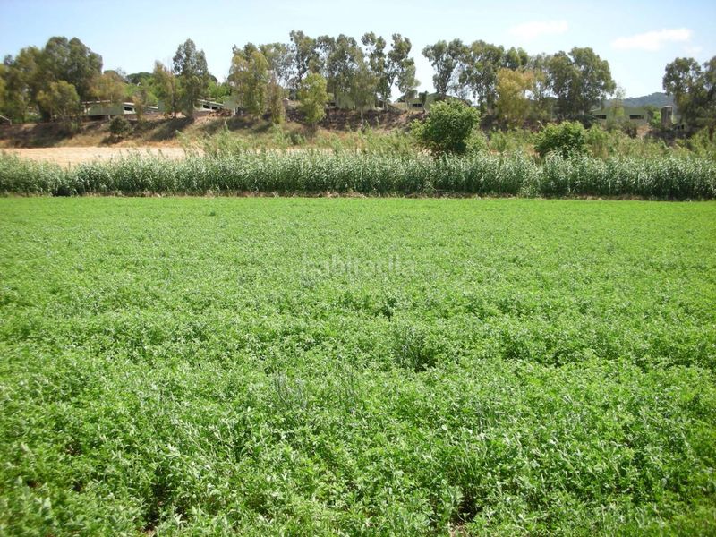 Foto 3c57de56-dd89-4fd3-9a15-597563f42aa9. Finca rústica terreno rústico no edificable sólo para uso exclusivamente agrícola en Vilanova del Vallès