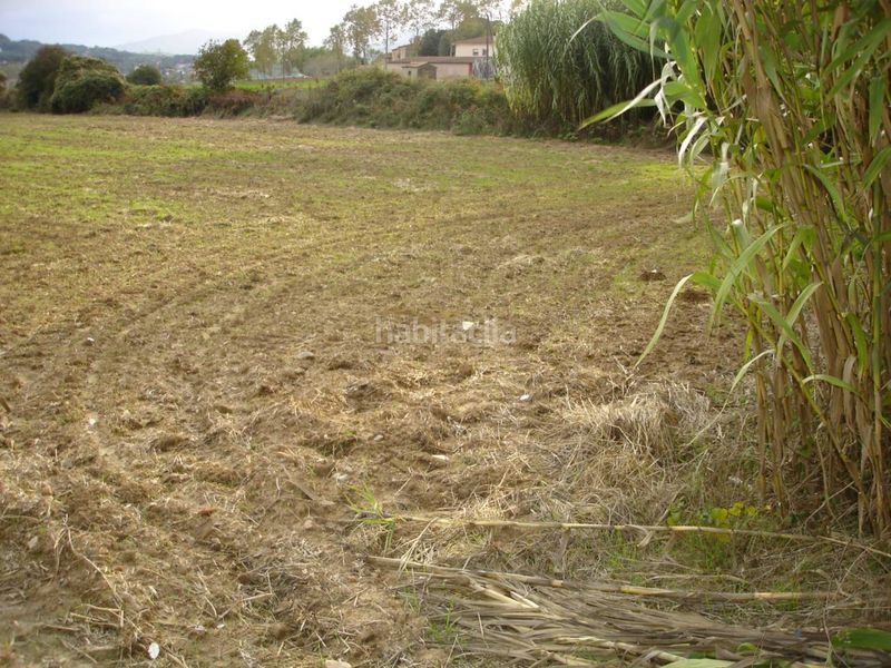 Foto 50ad4e67-118d-4ea7-9d6d-e5bf8ef876c5. Finca rústica terreno rústico no edificable sólo para uso exclusivamente agrícola en Vilanova del Vallès