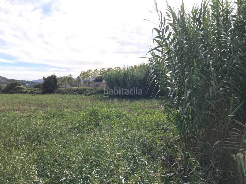 Foto c889cf65-d4b7-4187-9b5d-d615aa2f7f11. Finca rústica terreno rústico no edificable sólo para uso exclusivamente agrícola en Vilanova del Vallès