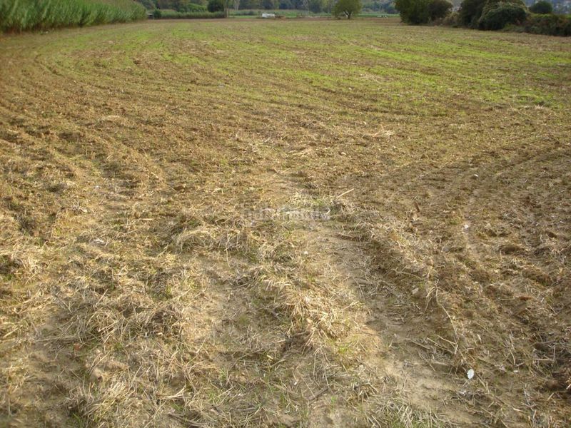 Foto d8035f49-e09e-423f-93a6-8aadd5a12628. Finca rústica terreno rústico no edificable sólo para uso exclusivamente agrícola en Vilanova del Vallès