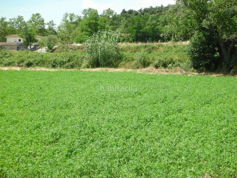 Foto f07cf0b8-6ce2-4025-9035-176948a540f6. Finca rústica terreno rústico no edificable sólo para uso exclusivamente agrícola en Vilanova del Vallès