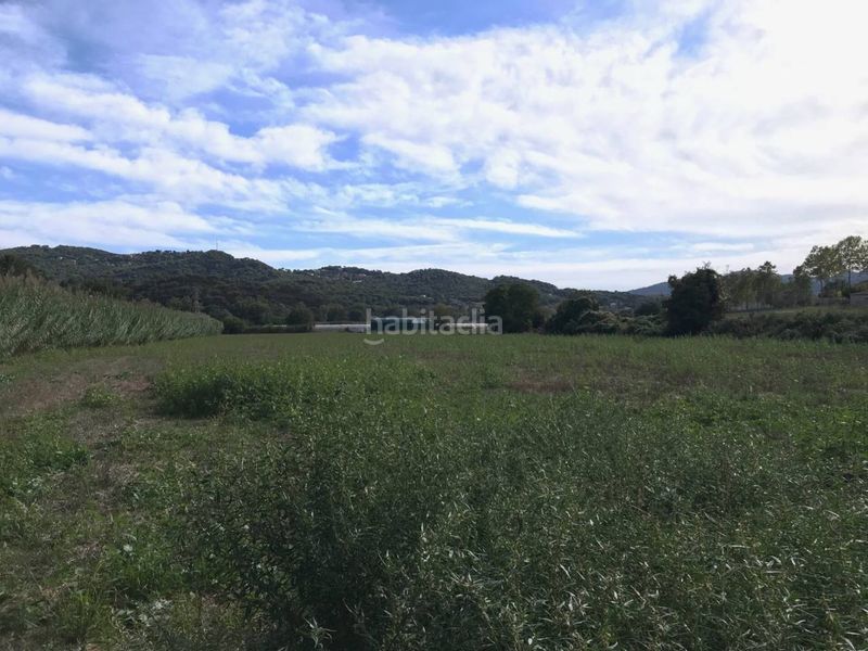 Foto faeeba5e-72f0-49d5-a9ba-6b029917d33c. Finca rústica terreno rústico no edificable sólo para uso exclusivamente agrícola en Vilanova del Vallès