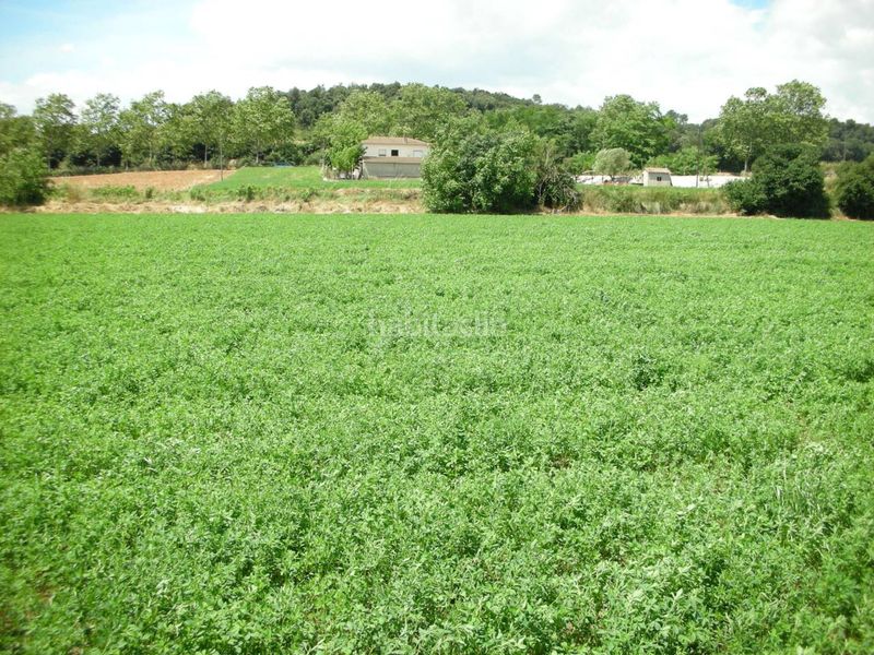 Foto fce65c38-48c7-4d6e-9904-7d4d2862106b. Finca rústica terreno rústico no edificable sólo para uso exclusivamente agrícola en Vilanova del Vallès