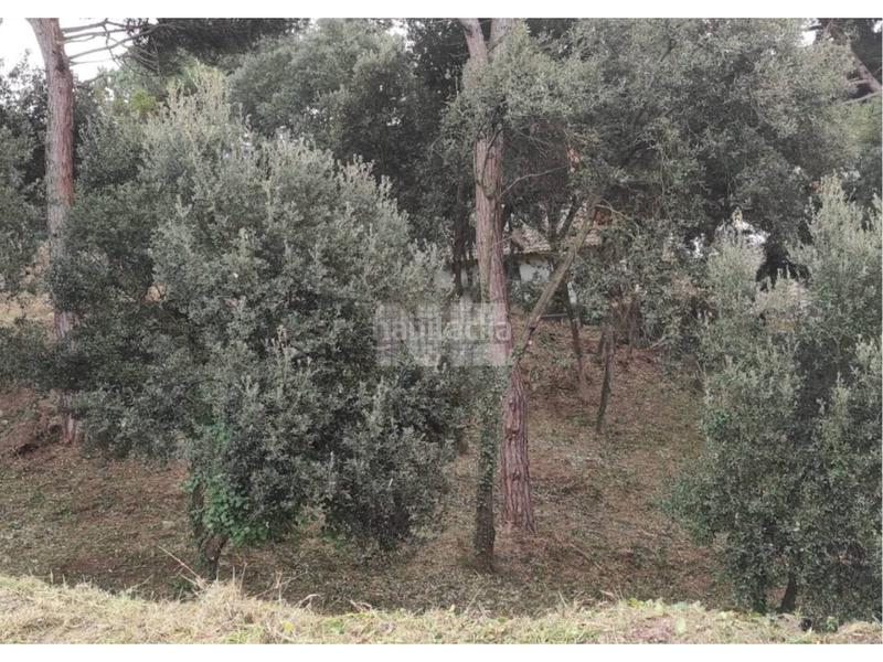 Foto 5a6a4c44-9015-4e96-9a31-3796abf03804. Residential plot in Vallromanes