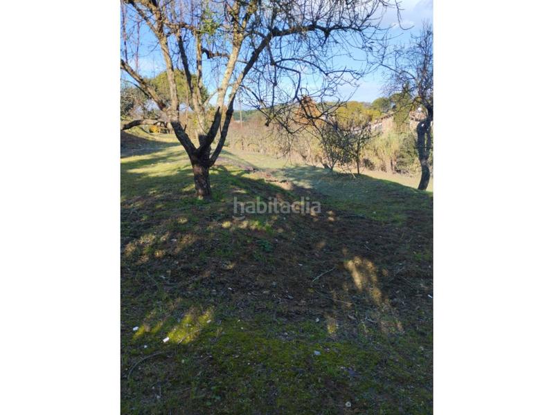 Foto 7b74c871-2a50-4433-81f1-c51a46f4a52e. Haus in Vilanova del Vallès