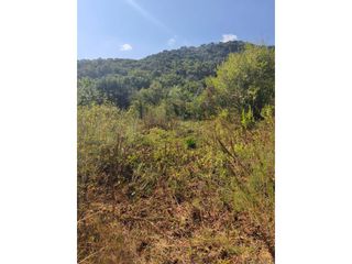 Wohngrundst�ck  Calle castanyers. Terreno en venta en vallromanes