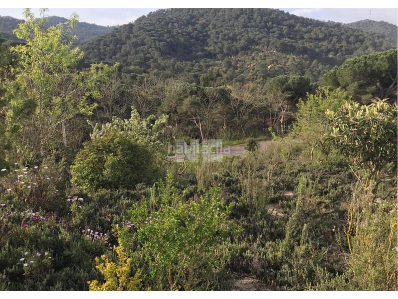 Foto 054c9ec3-2127-4c0c-be19-278e6d3ca49a. Finca rústica terreno en venta en Vilanova del Vallès