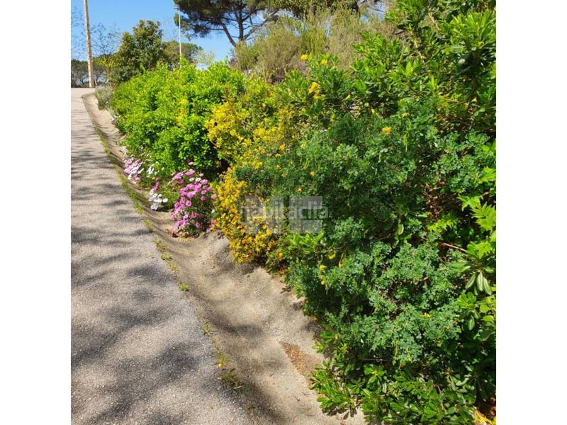 Foto 110ebc66-1d04-4a81-b13b-8b997d3fc00f. Finca rústica terreno en venta en Vilanova del Vallès