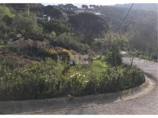 Finca rústica a Vilanova del Vallès. Terreno en venta en vilanova del vallès