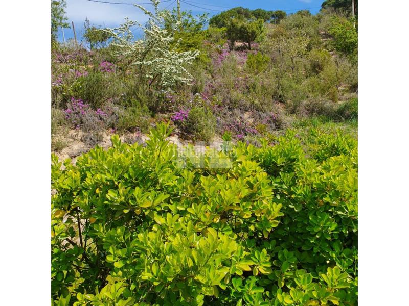 Foto b66fbaab-f9d2-4362-a4e5-f6549ce37f96. Finca rústica terreno en venta en Vilanova del Vallès