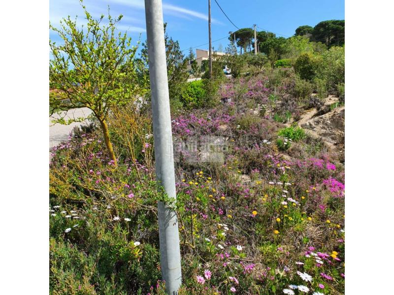 Foto da84dd69-82ce-44f7-b9da-da8b7dc51864. Finca rústica terreno en venta en Vilanova del Vallès