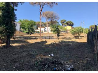 Finca rústica  Ribera d´ebre. Terreno en venta en barri de rodes  de vilanova del vallès