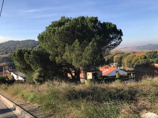 Finca rústica a Vilanova del Vallès. Terreno en venta en vilanova del vallès  negociable
