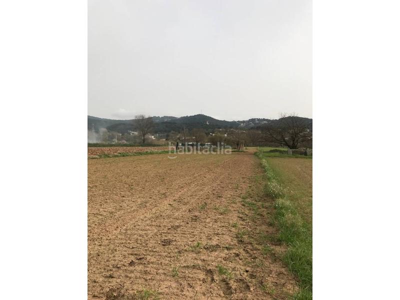 Foto 03a2ba0a-21ed-472c-9949-ae1a91156601. Rural plot in Vilanova del Vallès