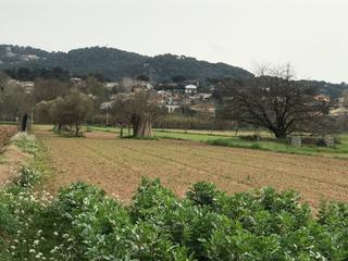 Finca rústica a Vilanova del Vallès. Finca rustica en venta en vilanova del vallès