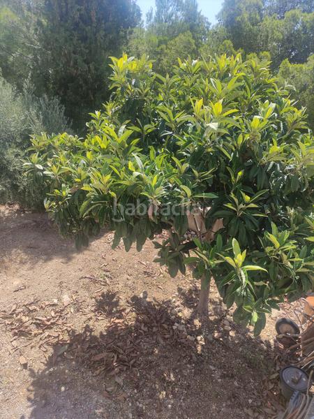 Foto 44bd322c-4e44-4df9-8cec-b7ed59d5ec5d. Maison avec piscine dans costa Cunit - els jardins - els rosers Cunit