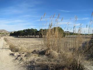 Terreno residenziale in Rebolledo. Parcela 33.000 m2  no urbanizable  se puede construir vivienda a