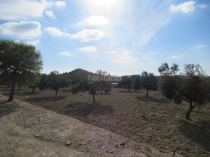 Foto 8534d464-5568-46fa-adad-9fabe706e097. Masia amb aparcament a Rebolledo Alicante