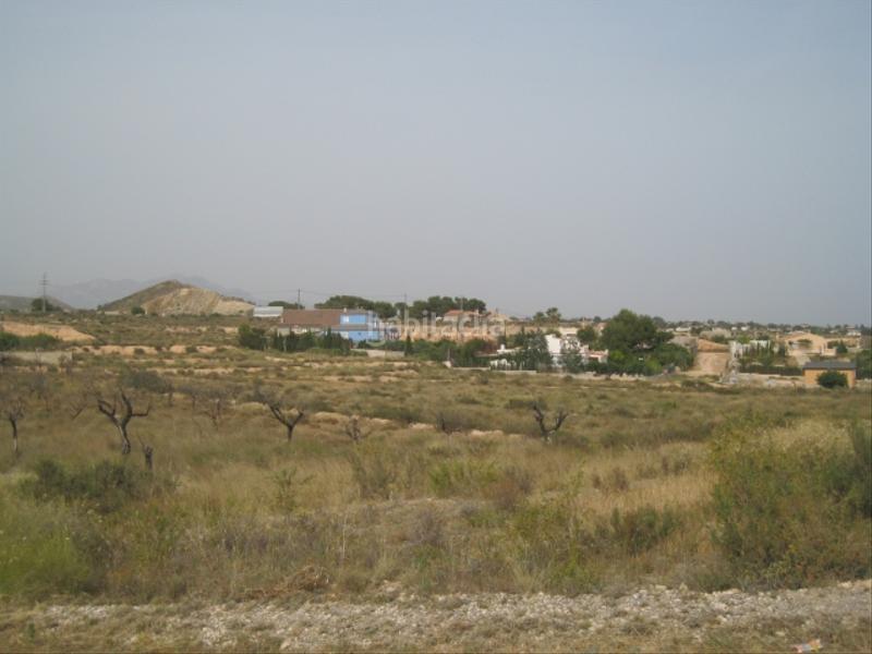 Foto a164bea3-8c2c-40ce-89ff-9b35db3aa124. Terreno residenziale in Moralet Alicante