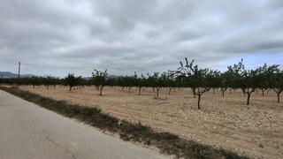 Finca rústica a N/a. Suelo rústico con posibilidad de construcción de vivienda unifam