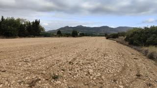 Finca rstica en Sax. Suelo rstico con posibilidad de construccin de vivienda unifam
